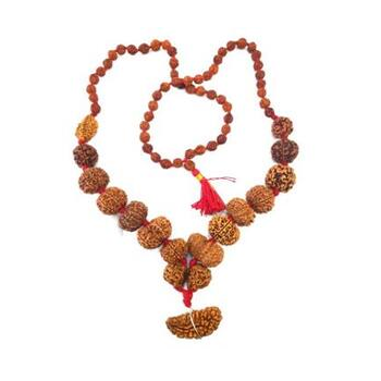 Rudraksha