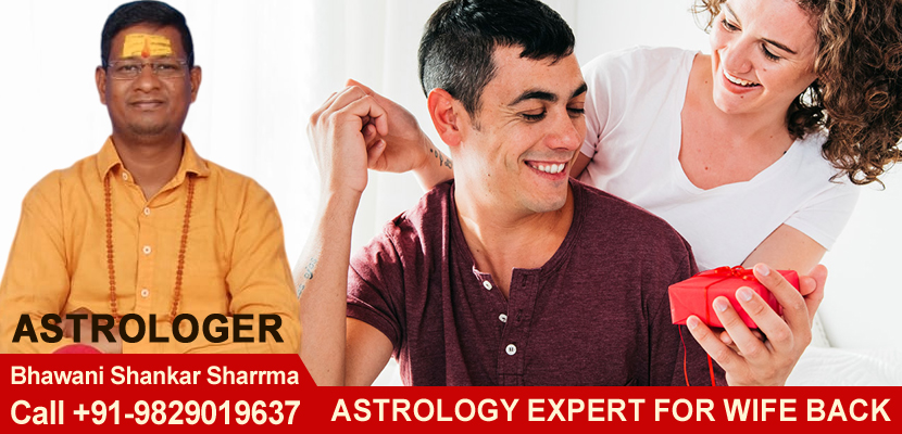 Astrology Expert For Wife Back